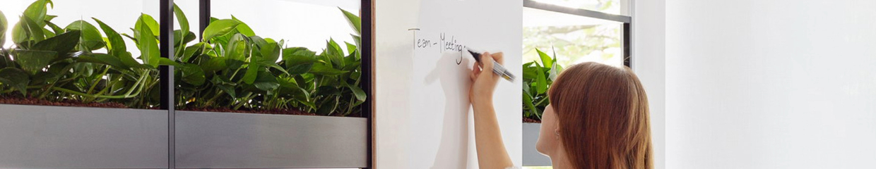 Whiteboards Whiteboards